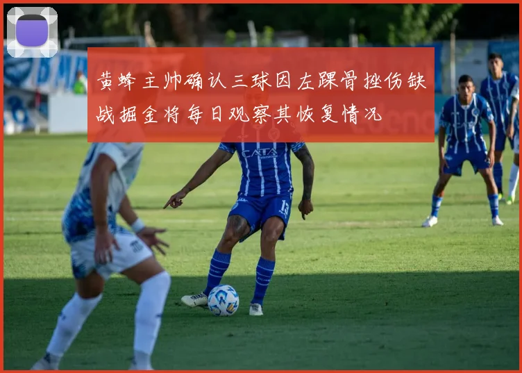 黄蜂主帅确认三球因左踝骨挫伤缺战掘金将每日观察其恢复情况