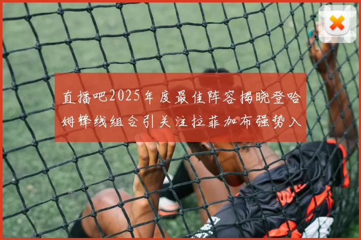 直播吧2025年度最佳阵容揭晓登哈姆锋线组合引关注拉菲加布强势入选